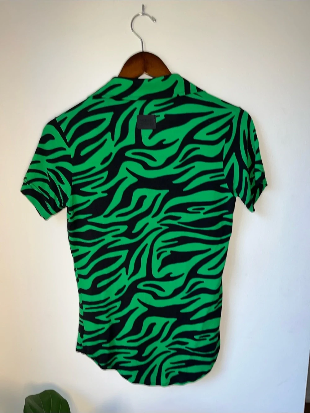 Men's Green Zebra-Print Swim Trunks and Short Sleeve Zip Swim Top